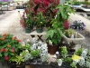 dsc02305