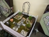 dsc00909