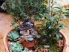 dsc01952
