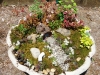 dsc02363