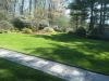 Yard and Walkway.jpg