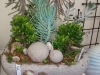 Succulent garden