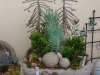 succulent garden 2