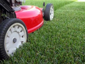 how-to-mow-your-lawn-1-300x225