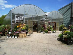 Our Greenhouse always has something new and exciting to check out!