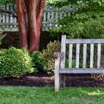 FeaturedImage-Lighten2