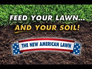american lawn