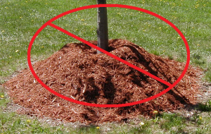 Bad-Mulching-300x190